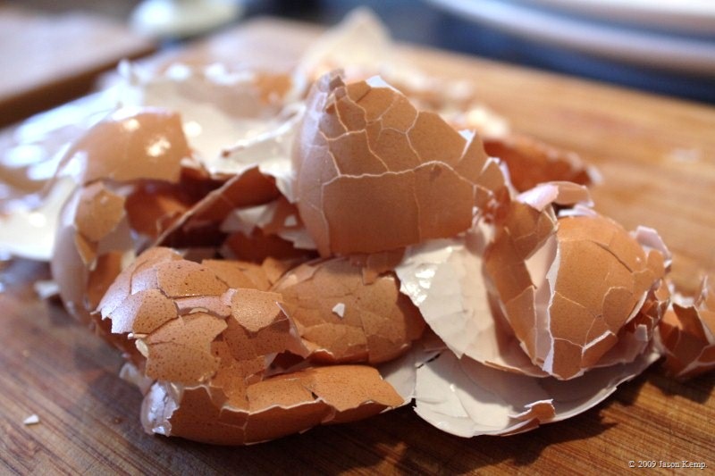 Rapid cooling is the key to peeling the shells of these buggers.